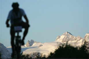 2007
