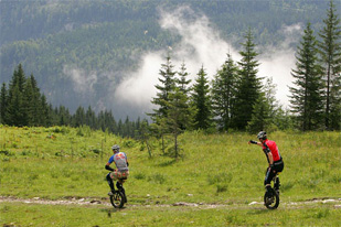 2008