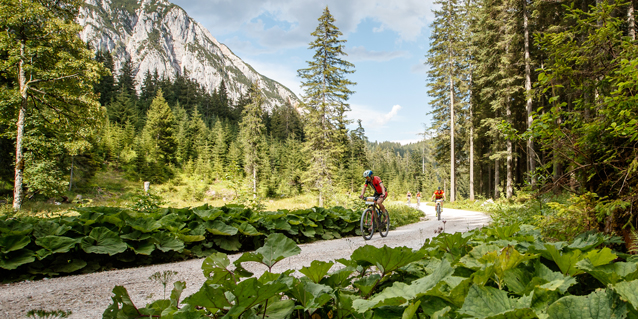 Salzkammergut Trophy 2018 - Strähnhag (Foto: Erwin Haiden)