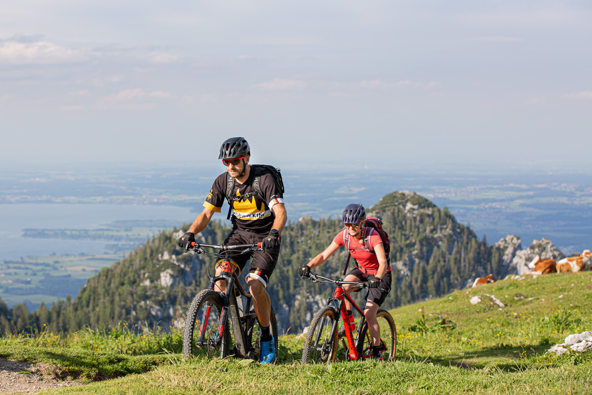 Chiemgau King (Foto: Hans Breitenfellner)