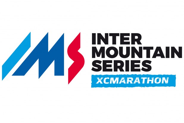 IMS Logo